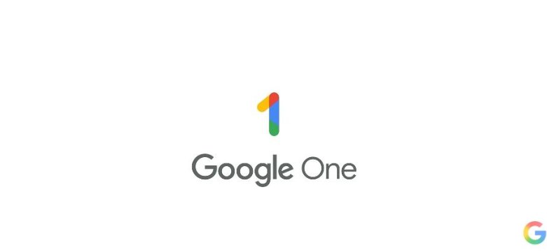 Google Pro 家庭组车位